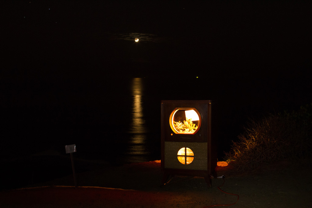 Photo of piece at night, with moonlit ocean behind. 4/4